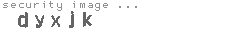 security image