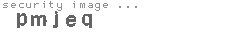 security image