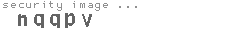 security image