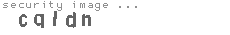 security image