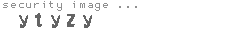 security image
