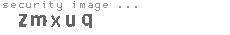 security image