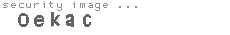 security image