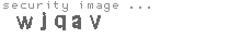 security image