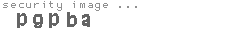 security image