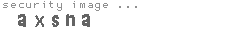 security image