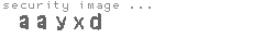 security image