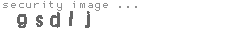 security image