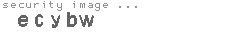 security image