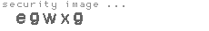security image