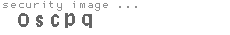 security image