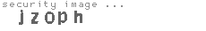 security image