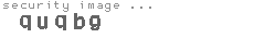 security image