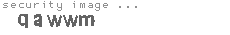 security image