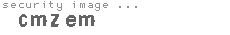 security image