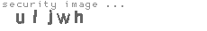 security image