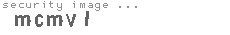 security image