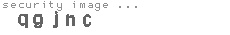 security image