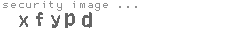 security image