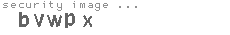 security image