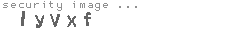 security image