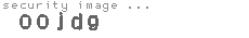 security image