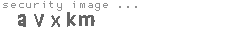 security image