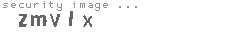 security image