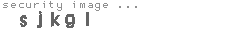 security image