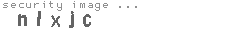 security image
