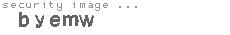 security image