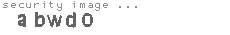security image