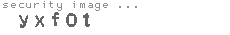security image
