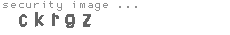 security image
