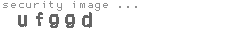 security image