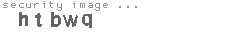 security image