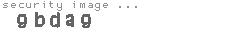 security image