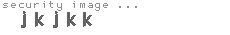 security image