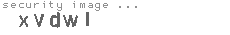 security image