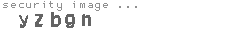 security image