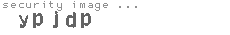 security image
