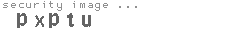 security image