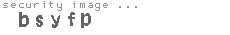security image