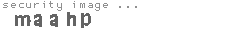 security image