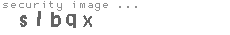 security image