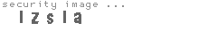 security image