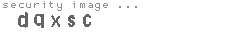 security image
