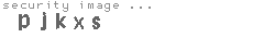 security image