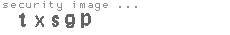 security image