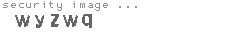 security image